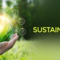 Happy World Environment Day!
